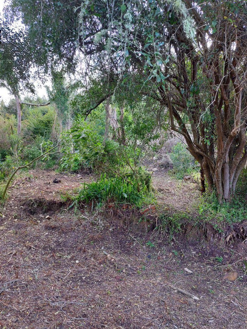 0 Bedroom Property for Sale in Paradise Western Cape